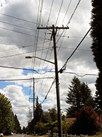 Puget Sound Energy Street Light on Wooden Pole